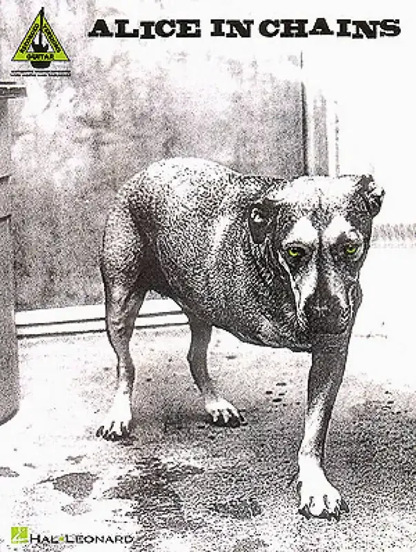 Alice In Chains Alice in Chains Gitarre Solo