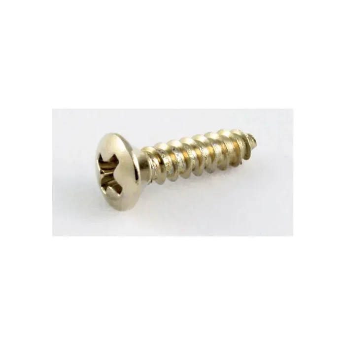 Allparts GS 0001-B05 Bulk PG-Screws SS(100)