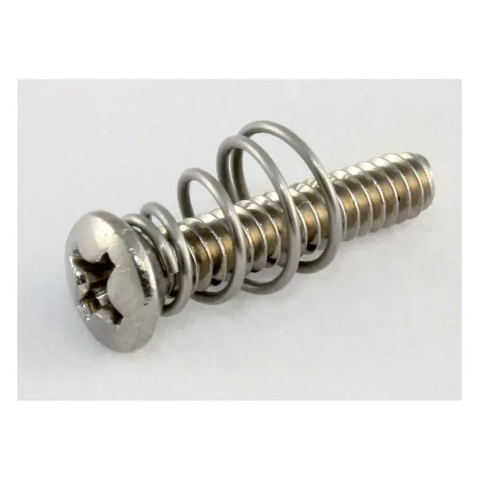 Allparts GS 0064-005 PU Vintage Screws SS