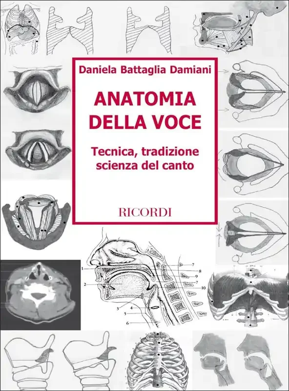 Anatomia Della Voce