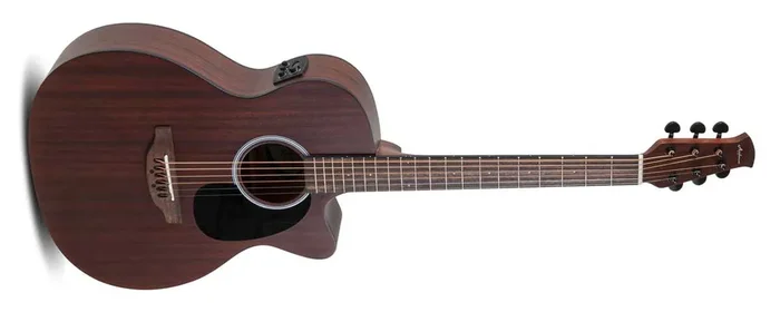 Applause AEO96-M E-Akustik Modell