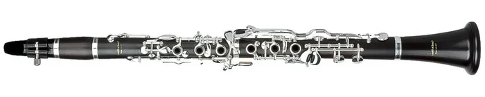 Arnold & Sons ACL-206 Terra B-Klarinette