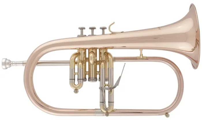 Arnolds & Sons AFH-655G Flügelhorn