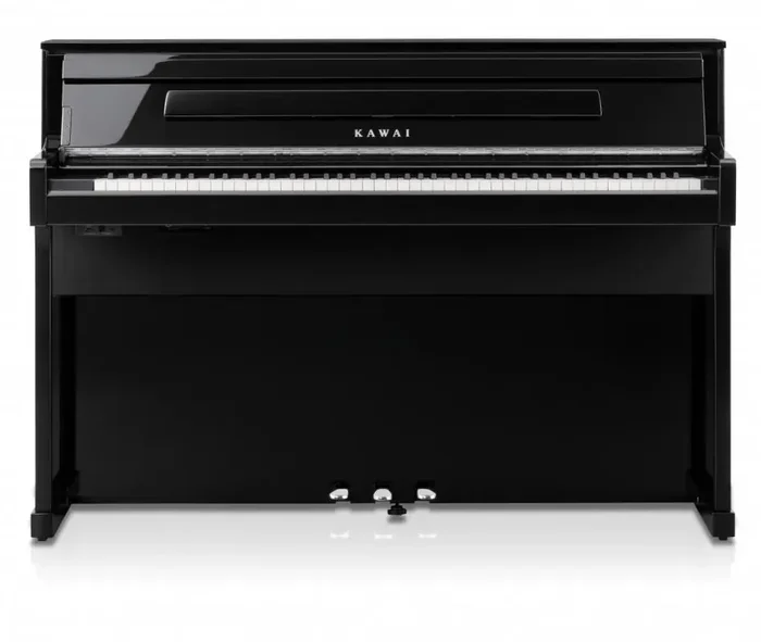 CA-901EP Premium Digitalpiano