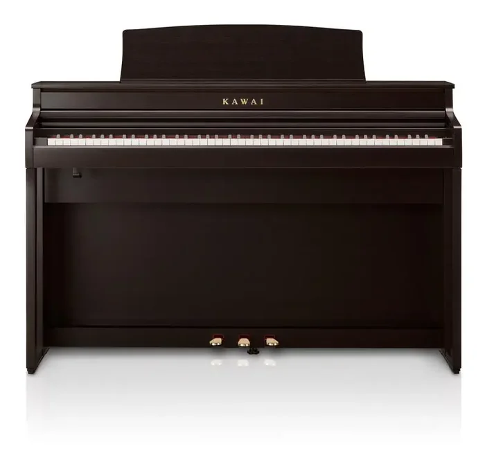 CA401R Digitalpiano Palisander