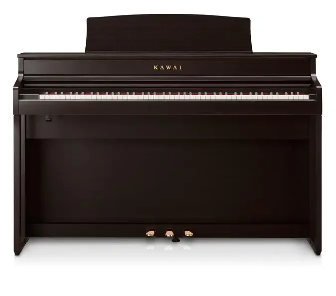 CA501R Digitalpiano Palisander