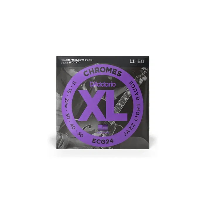 DAddario ECG24 E-Git