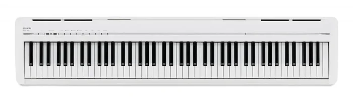 ES-120W Stagepiano