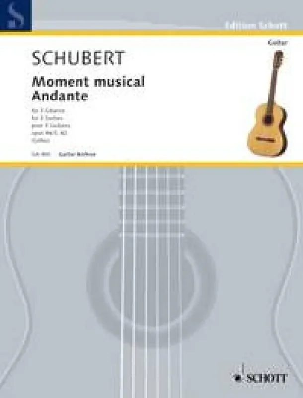 Franz Schubert Moment musical und Andante Gitarre Trio / Quartett