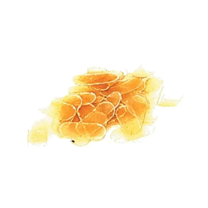 Gewa Violinstegschutz