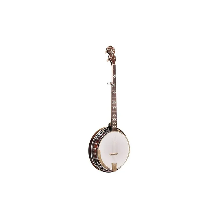 Gold Tone BG-150F Banjo