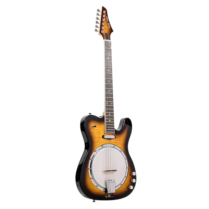 Gold Tone ES Banjitar