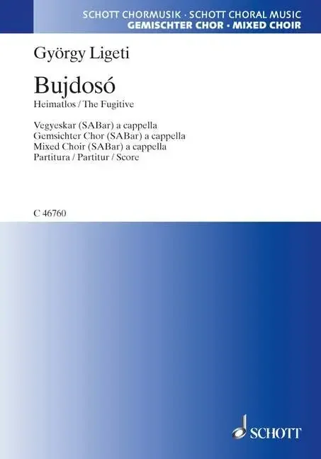 Ligeti György Bujdosó – Bedrückung