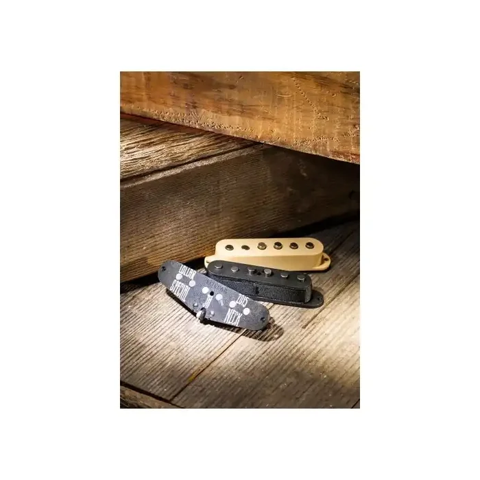 Lollar STRAT SPECIAL, Neck