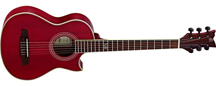 NL-Walker Traveler-Konzertgitarre