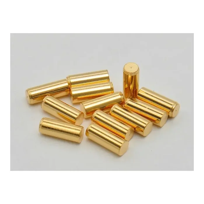 Pole Pieces for Humbuckers, 4,9×12,5mm, Gold, 12st.