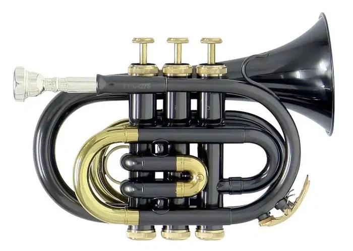 PT-101K Taschentrompete Anthrazit