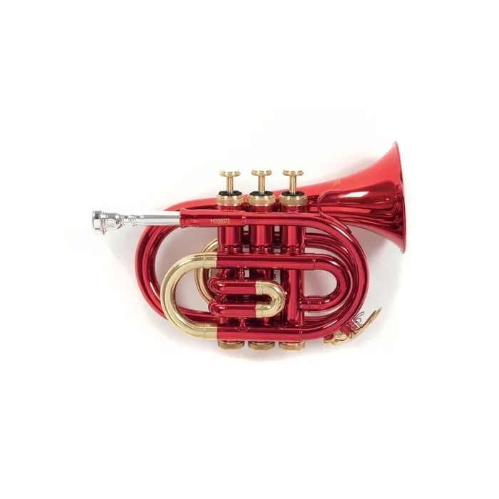 Roy Benson Bb-Taschentrompete PT-101R