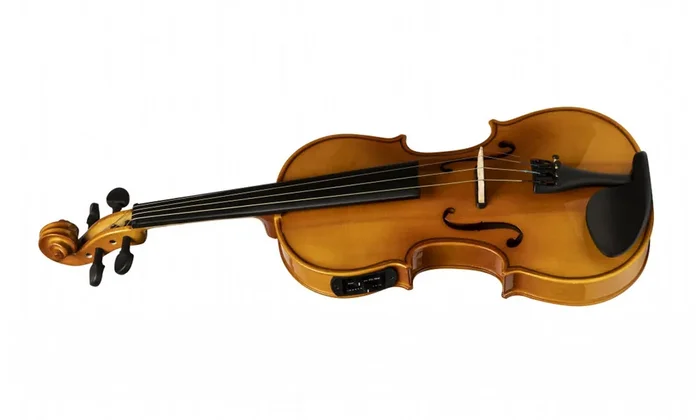 Stagg VN-4/4 ELEC E-Violin-Set