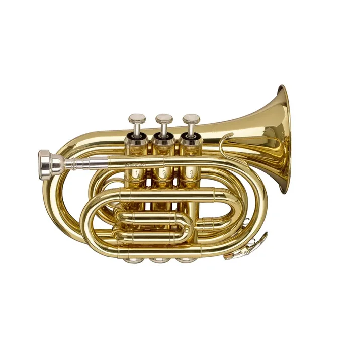 Stagg WS-TR245S Bb Taschentrompete