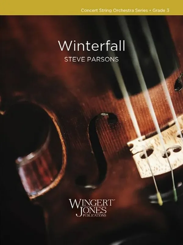 Steve Parsons Winterfall Streichorchester