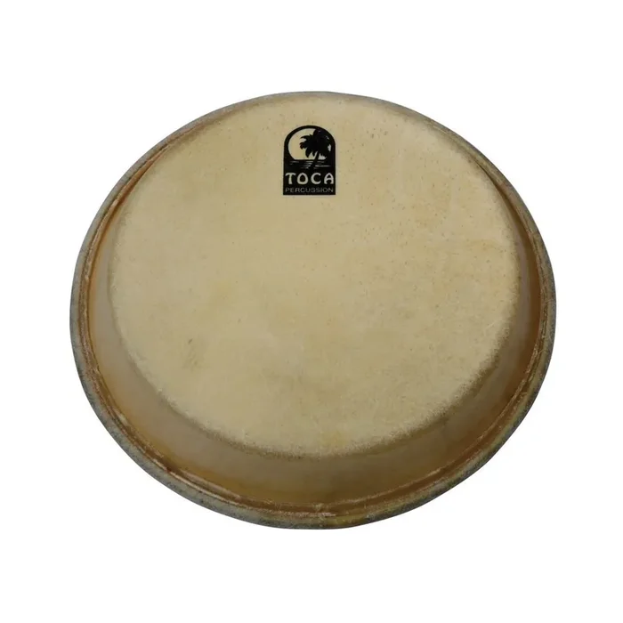 Toca 11″ Traditional