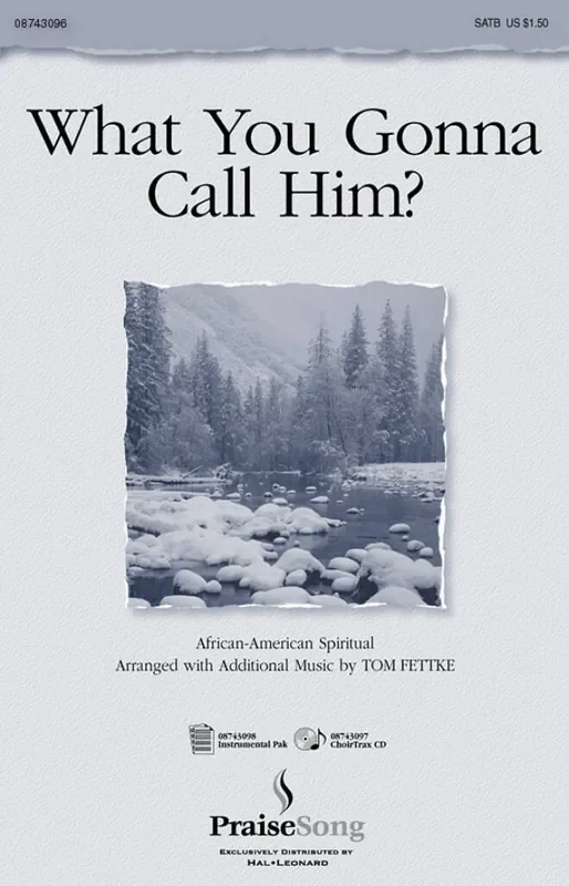 Tom Fettke What You Gonna Call Him? Gemischter Chor mit Begleitung