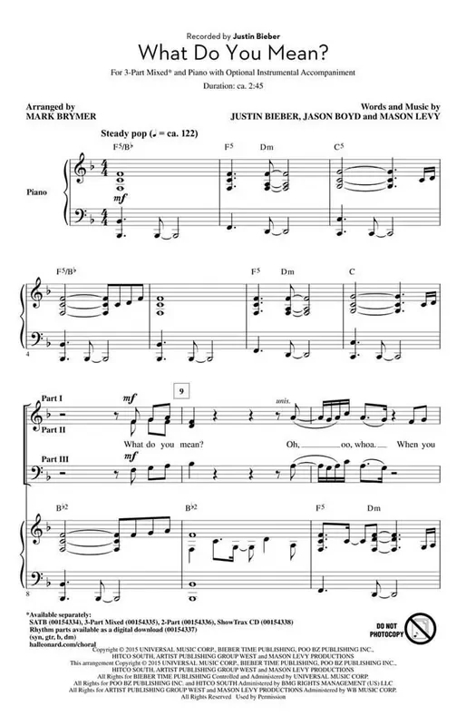 What Do You Mean? (Arr. Mark Brymer) Gemischter Chor mit Begleitung